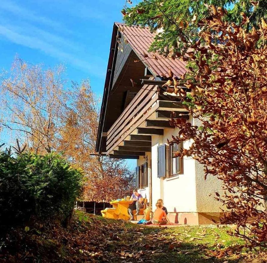 Willa Pet & Family Friendly House Viktorija - House Near Golica With Triglav View Jesenice Zewnętrze zdjęcie