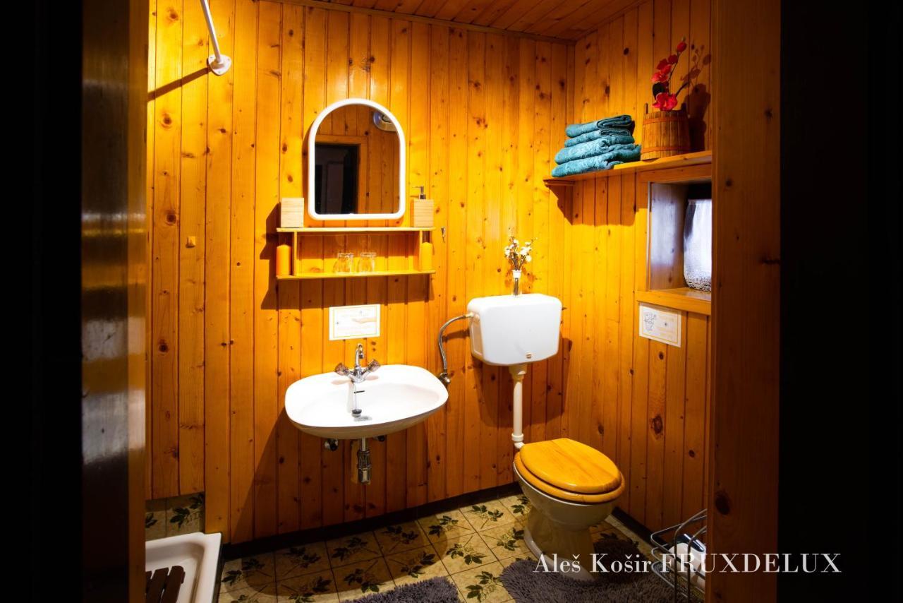 Willa Pet & Family Friendly House Viktorija - House Near Golica With Triglav View Jesenice Zewnętrze zdjęcie