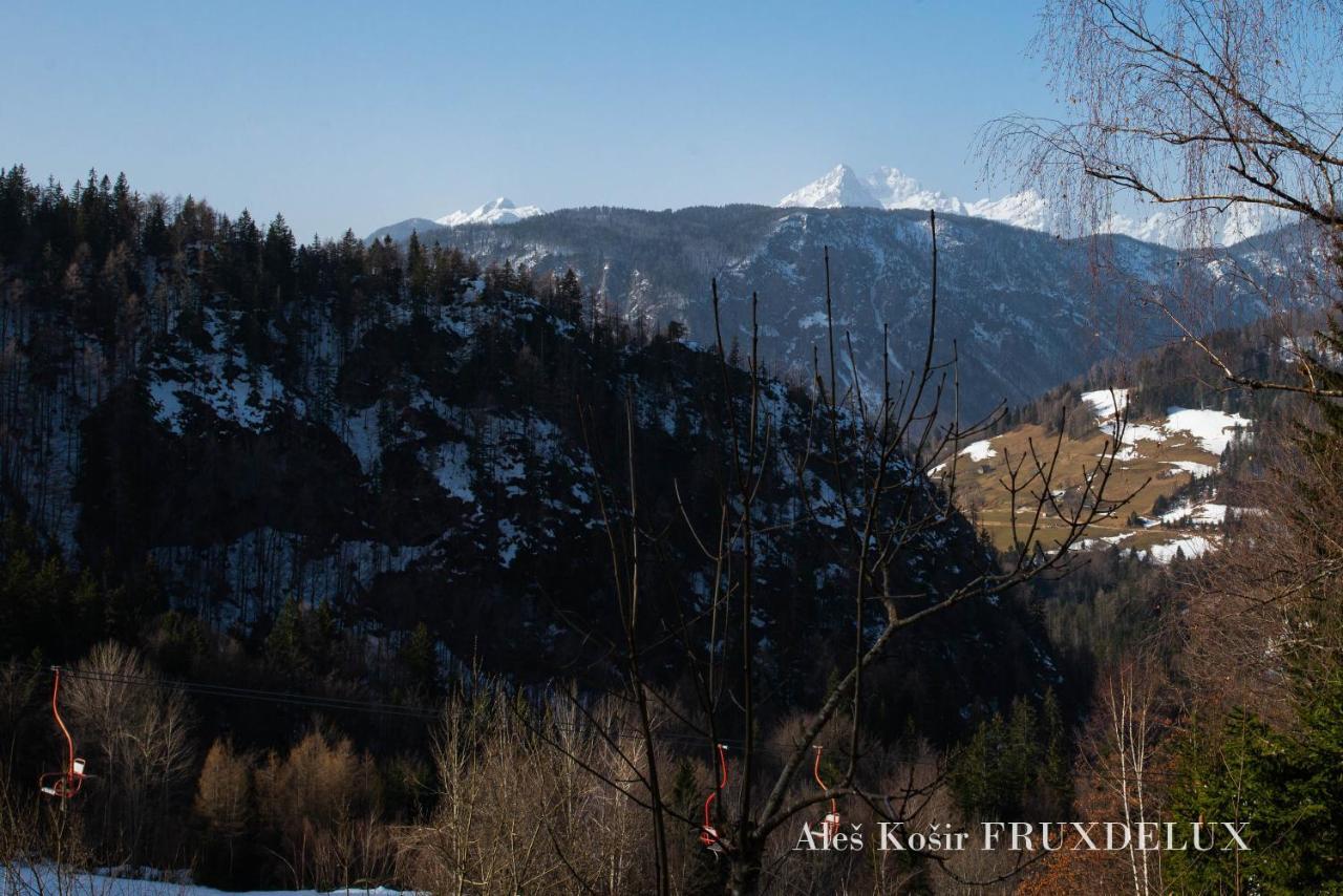 Willa Pet & Family Friendly House Viktorija - House Near Golica With Triglav View Jesenice Zewnętrze zdjęcie