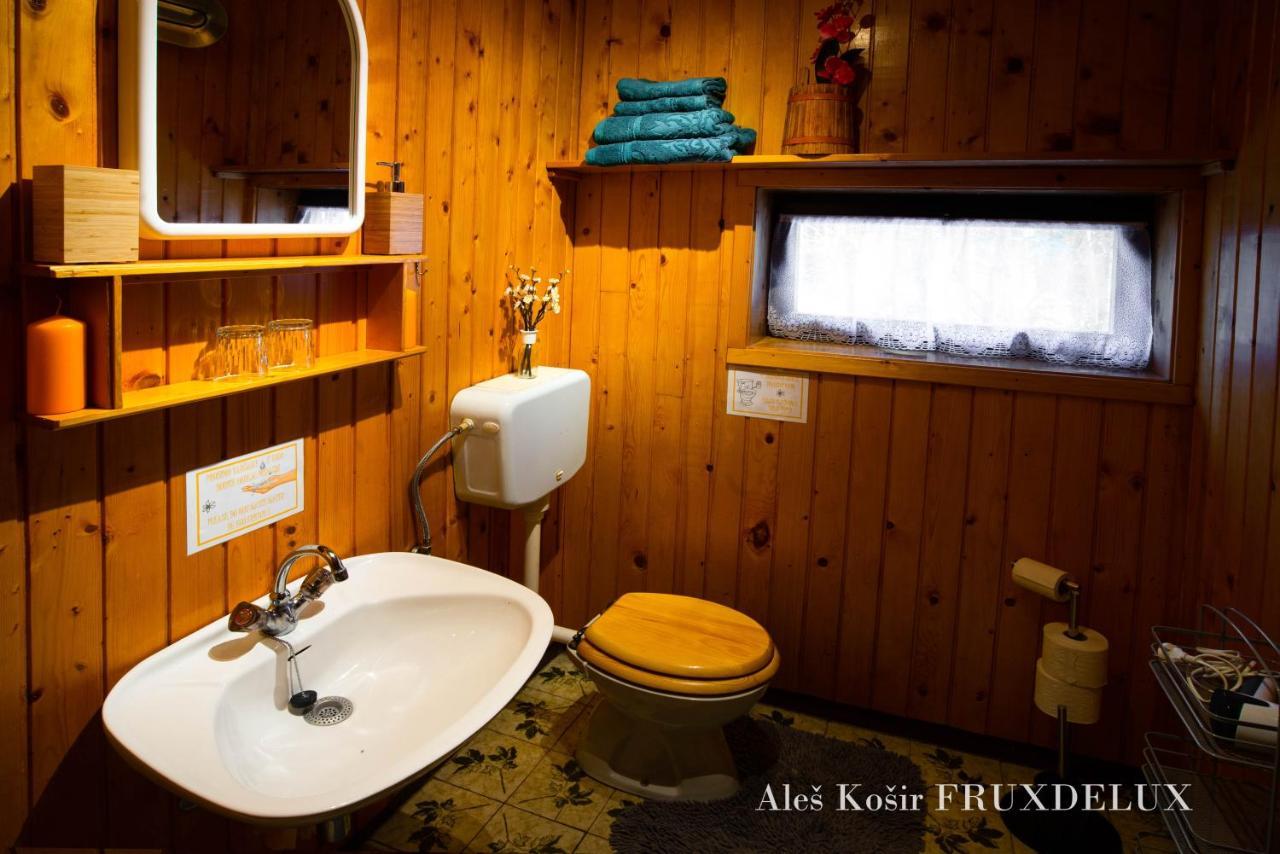 Willa Pet & Family Friendly House Viktorija - House Near Golica With Triglav View Jesenice Zewnętrze zdjęcie