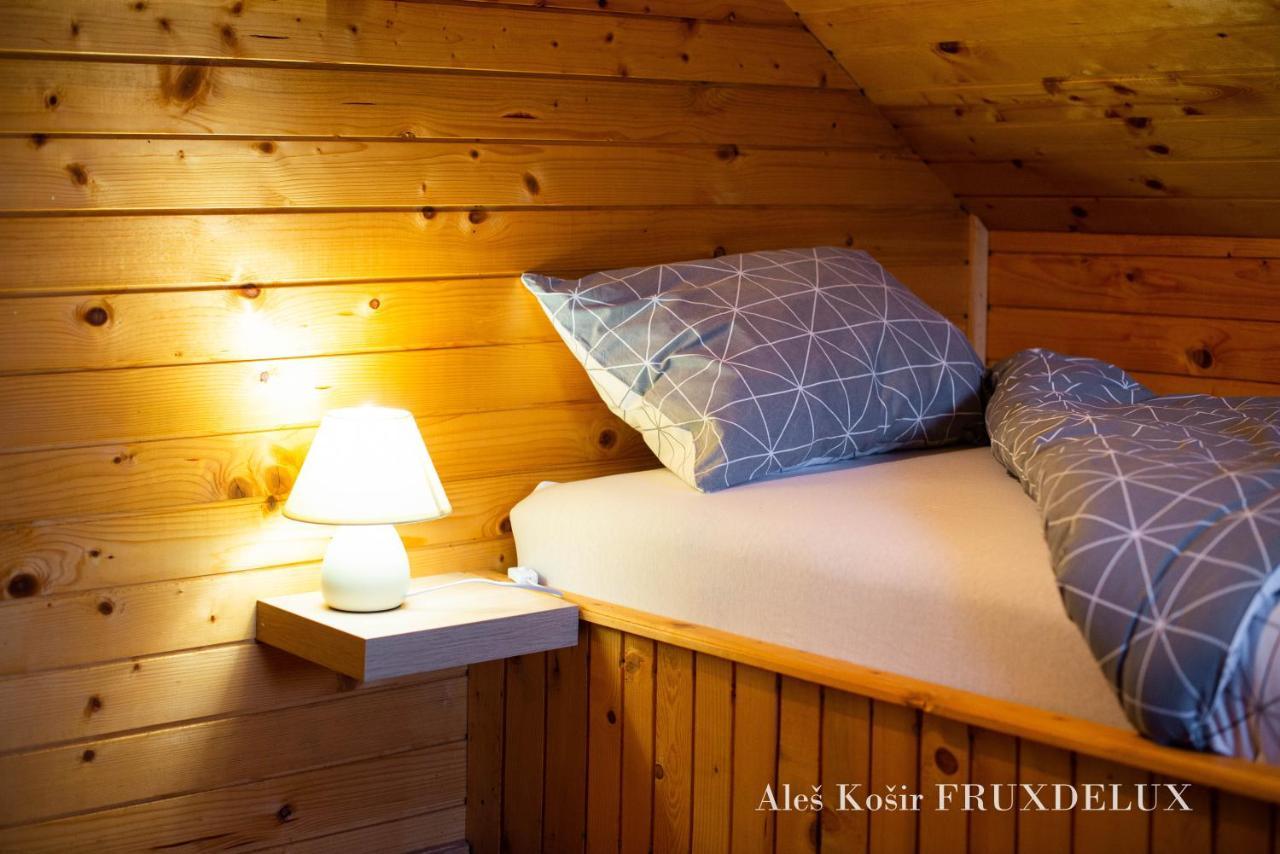 Willa Pet & Family Friendly House Viktorija - House Near Golica With Triglav View Jesenice Zewnętrze zdjęcie